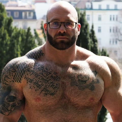 6livesex.com hairy_musclebear profile on OnlyFans in austria category