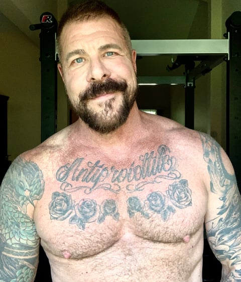 6livesex.com roccosteelenyc profile on OnlyFans in gay category